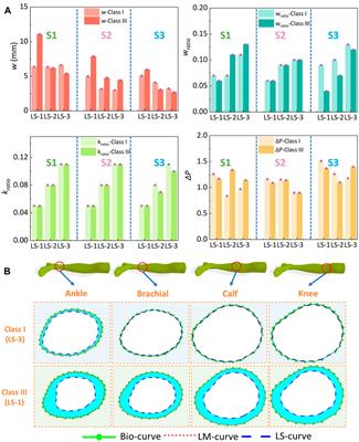 Three-dimensional dynamic homogenous modeling: The biomechanical influences of leg tissue stiffness on pressure performance of compression biomedical therapeutic textiles